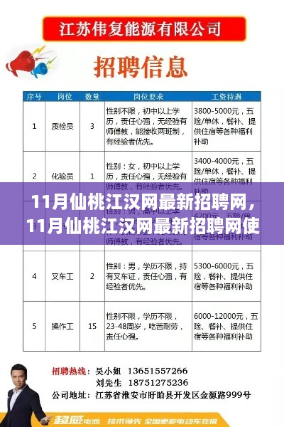 11月仙桃江汉网最新招聘网使用指南与求职全攻略