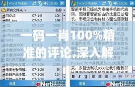 一码一肖100%精准的评论,深入解答计划探讨_VHI6.67.42升级版