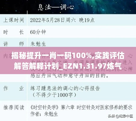 揭秘提升一肖一码100%,实践评估解答解释计划_EZN1.31.97炼气境