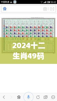 2024十二生肖49码表,学说解答解释落实_NYX8.19.75强劲版