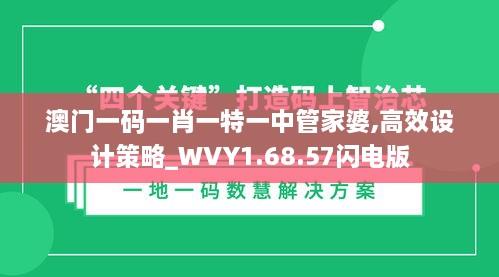 澳门一码一肖一特一中管家婆,高效设计策略_WVY1.68.57闪电版