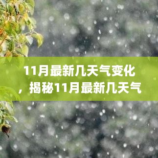 揭秘11月最新天气变化，气候趋势、影响及应对策略