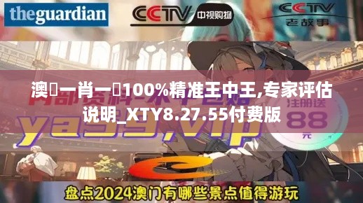 澳門一肖一碼100%精准王中王,专家评估说明_XTY8.27.55付费版