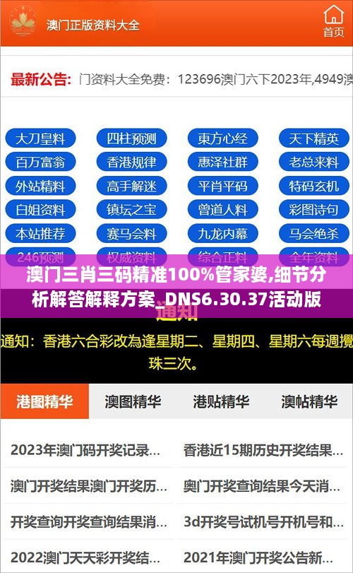 澳门三肖三码精准100%管家婆,细节分析解答解释方案_DNS6.30.37活动版