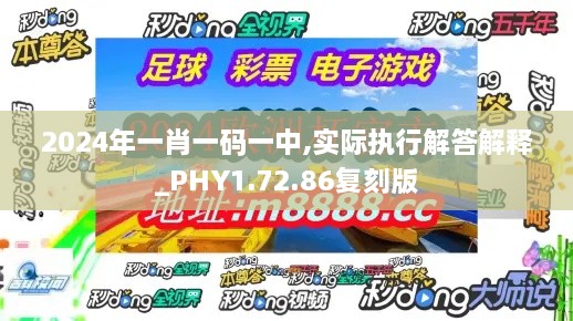 2024年一肖一码一中,实际执行解答解释_PHY1.72.86复刻版