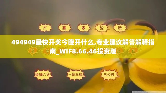 494949最快开奖今晚开什么,专业建议解答解释指南_WIF8.66.46投资版