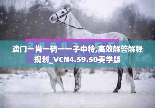 澳门一肖一码一一子中特,高效解答解释规划_VCN4.59.50美学版