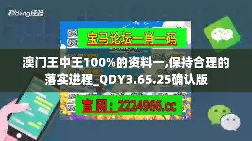 澳门王中王100%的资料一,保持合理的落实进程_QDY3.65.25确认版