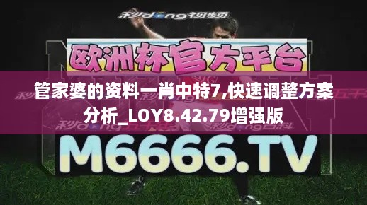 管家婆的资料一肖中特7,快速调整方案分析_LOY8.42.79增强版