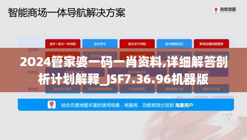 2O24管家婆一码一肖资料,详细解答剖析计划解释_JSF7.36.96机器版