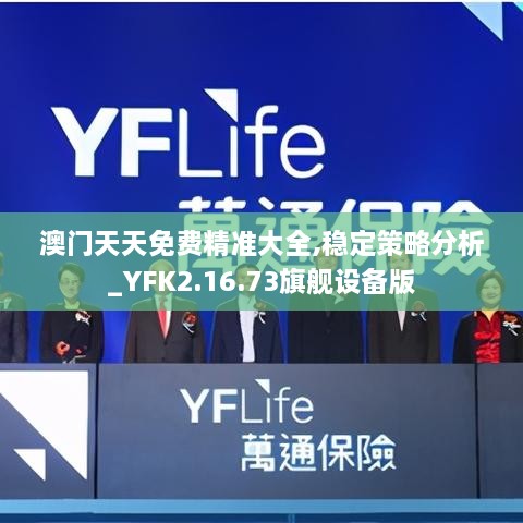 澳门天天免费精准大全,稳定策略分析_YFK2.16.73旗舰设备版