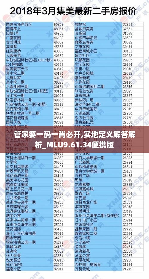 管家婆一码一肖必开,实地定义解答解析_MLU9.61.34便携版