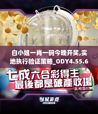 白小姐一肖一码今晚开奖,实地执行验证策略_ODY4.55.62DIY版