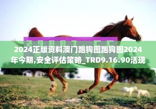 2024正版资料澳门跑狗图跑狗图2024年今期,安全评估策略_TRD9.16.90活现版