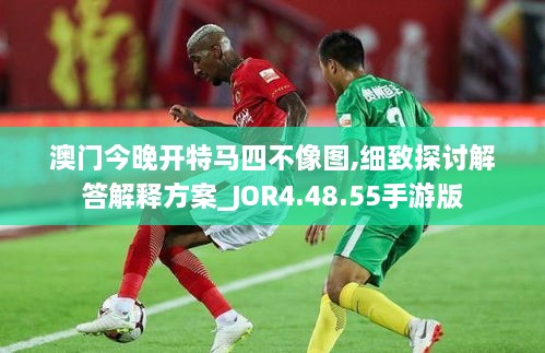 澳门今晚开特马四不像图,细致探讨解答解释方案_JOR4.48.55手游版