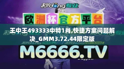 王中王493333中特1肖,快捷方案问题解决_GMM3.72.44限定版