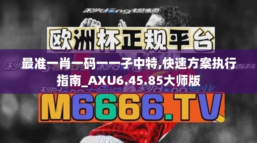 最准一肖一码一一孑中特,快速方案执行指南_AXU6.45.85大师版