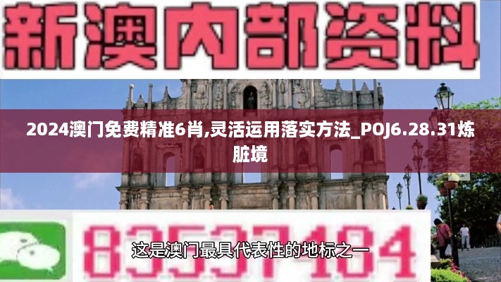 2024澳门免费精准6肖,灵活运用落实方法_POJ6.28.31炼脏境