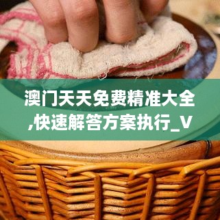 澳门天天免费精准大全,快速解答方案执行_VMN4.69.81世界版