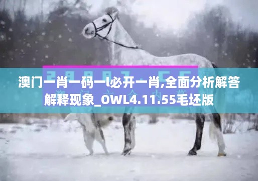 澳门一肖一码一l必开一肖,全面分析解答解释现象_OWL4.11.55毛坯版