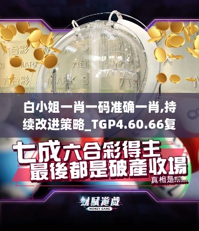 白小姐一肖一码准确一肖,持续改进策略_TGP4.60.66复兴版