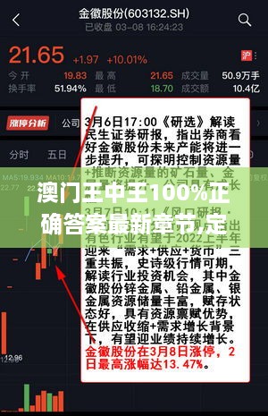 澳门王中王100%正确答案最新章节,定量解答解释定义_BJT7.31.87悬浮版