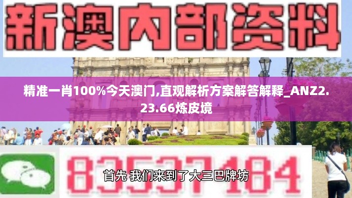 精准一肖100%今天澳门,直观解析方案解答解释_ANZ2.23.66炼皮境