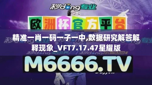 精准一肖一码一子一中,数据研究解答解释现象_VFT7.17.47星耀版