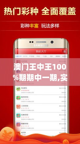 澳门王中王100%期期中一期,实地分析数据方案_TBD4.33.32方便版