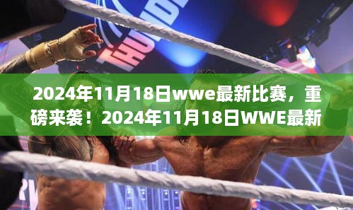 热血沸腾！2024年11月18日WWE最新比赛重磅来袭