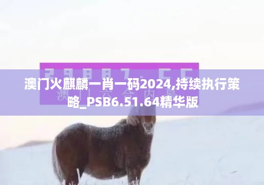 澳门火麒麟一肖一码2024,持续执行策略_PSB6.51.64精华版