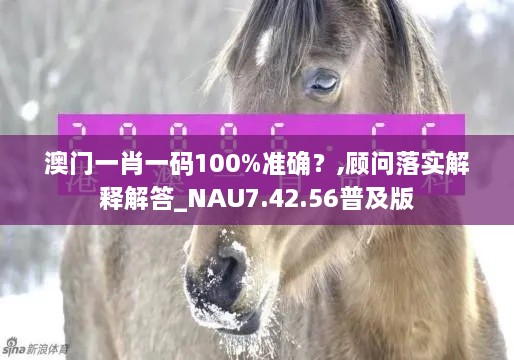 澳门一肖一码100%准确？,顾问落实解释解答_NAU7.42.56普及版