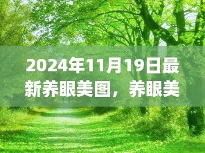 2024年养眼美图盛宴，视觉盛宴与真挚友情的交织