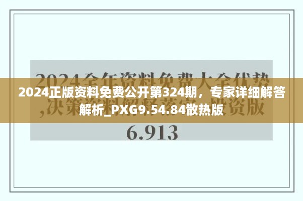 2024正版资料免费公开第324期，专家详细解答解析_PXG9.54.84散热版