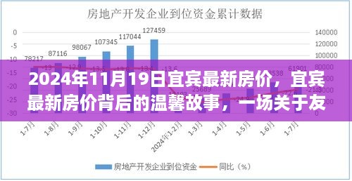 宜宾最新房价背后的友情与家的奇妙旅程，宜宾房价动态及温馨故事揭晓（2024年11月19日）