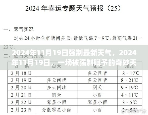 强制天气之旅，揭秘2024年11月19日的奇妙气象现象