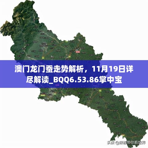 澳门龙门蚕走势解析，11月19日详尽解读_BQQ6.53.86掌中宝