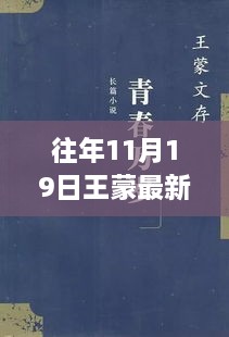 王蒙新书发布，探索文学之旅再启程，揭秘往年11月19日最新力作