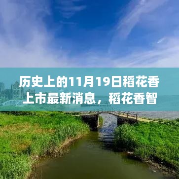 历史上的11月19日，稻花香智能新品上市，科技重塑稻谷魅力