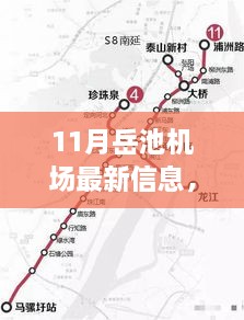 岳池机场出行指南，最新信息全解析与出行准备步骤详解