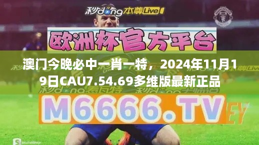 2024年11月 第319页