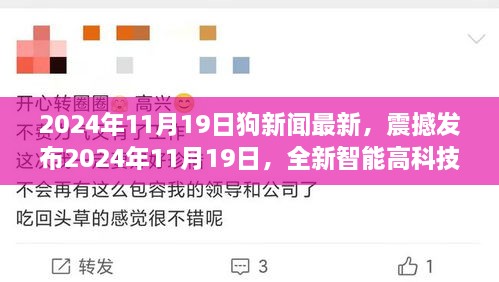 2024年11月19日犬界新闻热点，全新智能高科技产品引领潮流，颠覆想象与体验