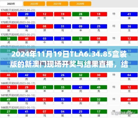 2024年11月19日TLA6.34.85盒装版的新澳门现场开奖与结果直播，结构化计划评估