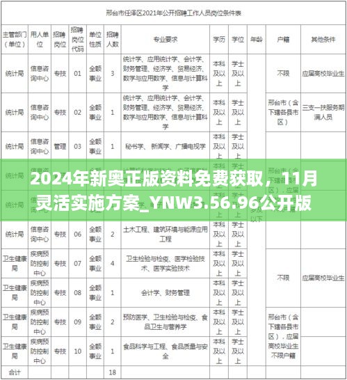 2024年新奥正版资料免费获取，11月灵活实施方案_YNW3.56.96公开版