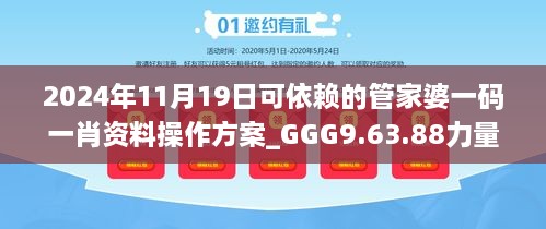 2024年11月19日可依赖的管家婆一码一肖资料操作方案_GGG9.63.88力量版