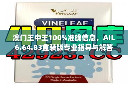 澳门王中王100%准确信息，AIL6.64.83盒装版专业指导与解答