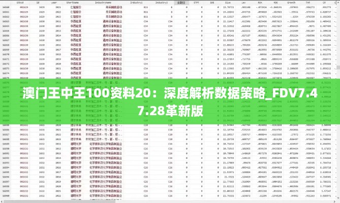 澳门王中王100资料20：深度解析数据策略_FDV7.47.28革新版