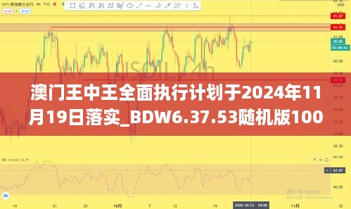 澳门王中王全面执行计划于2024年11月19日落实_BDW6.37.53随机版100%准确