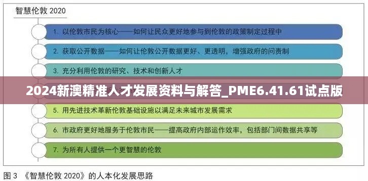 2024新澳精准人才发展资料与解答_PME6.41.61试点版