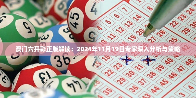 澳门六开彩正版解读：2024年11月19日专家深入分析与策略